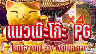 Lucky Neko สล็อตPG สล็อตแมว เย็นที่อารมณ์ค้างอร้านย