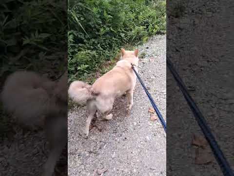 21 กรกฎาคม ค.ศ. 2025