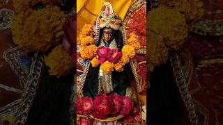 Navratri Day 9 !! Jai Maa Sidhidatri 🙏🚩 #sidhidatri #navratriday9 #navmispecial #jaimatadi