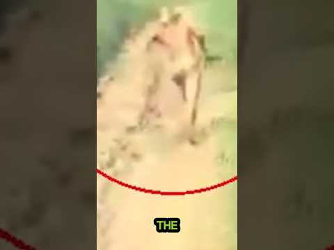 Joe Rogan Cryptids Could Live Inside This Cave Part Two