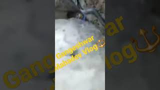 Gangeshwar Mahadev Vlog 11M like share vlog Subscribe compvlog Jai gangeshwar Mahadev kripa karo Mah