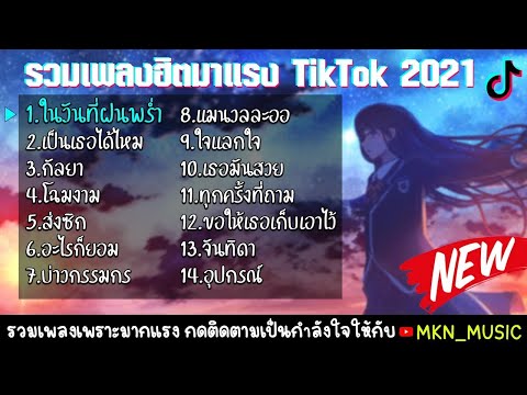 รวมเพลงฮิตในแอพtiktok รวมเพลง ฟังสบาย ๆ เพลงใหม่ล่าสุด เพลง เพราะๆ 2021 ไม่มีโฆษณาคั่น