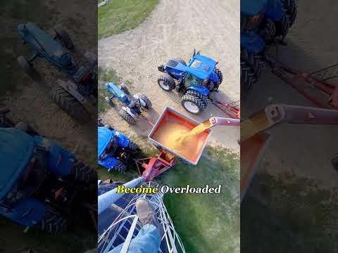 Will a grain silo explode? #grainstorage #disaste #explosion #Knowledge