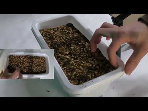 【栽培基礎講座】ウォータースペース