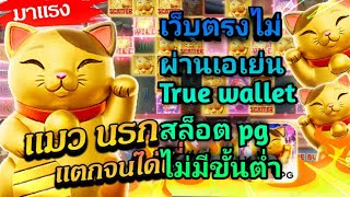 เว็บตรงสล็อต ture wallet สมัครสล็อตเว็บตรง ฝากถอน ทรูวอเลท ไม่มีขั้นต่ำ สล็อต เว็บตรงไม่ผ่านเอเย่นต์