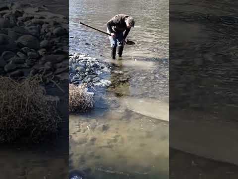 Gold Panning Expert Mark C. Using his Shovel As a Quick Gold Pan to Assess Quality of Gravel
