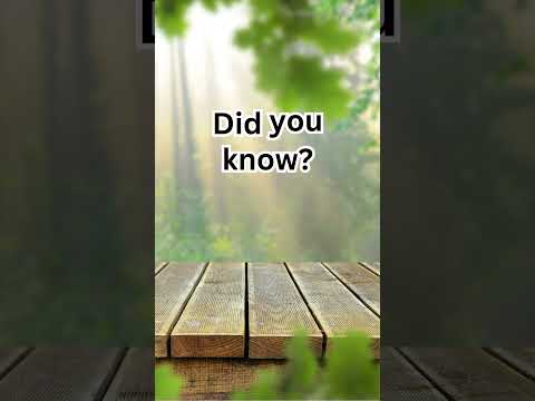 "Sky Chronicles: Unveiling the Fascinating Facts About Clouds | YouTube Short"#10