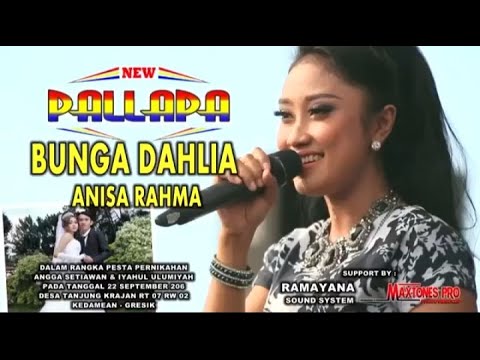 ANISA RAHMA || Bunga Dahlia