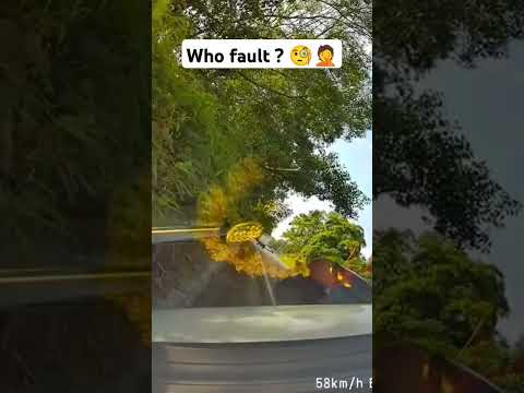 Who fault? 🧐🤦 #reels #fypシ゚viral #2025 #viralreels #youtube #youtubeshorts #viralvideo #viralshorts