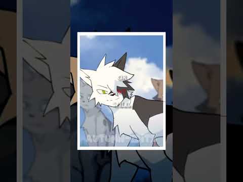 #warriorcats #warriorsedit #warriors #edit #cat #comfort #comfortcharacter