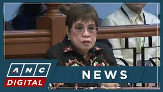 Panelo defends VP Duterte's compartmentalization, use of aliases, secrecy in confidential funds use