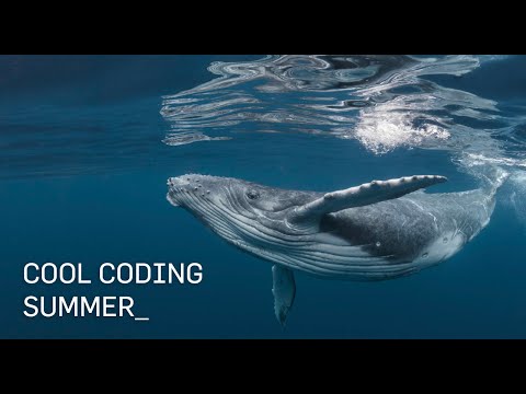 Cool Coding Summer 🌏 Live Online Coding Camps