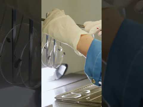 Behind the Scenes: Custom Eyeglasses Made in Canada | FYidoctors Lab Tour 👓 🏭