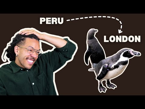 Why I'm questioning Zoos From Inside