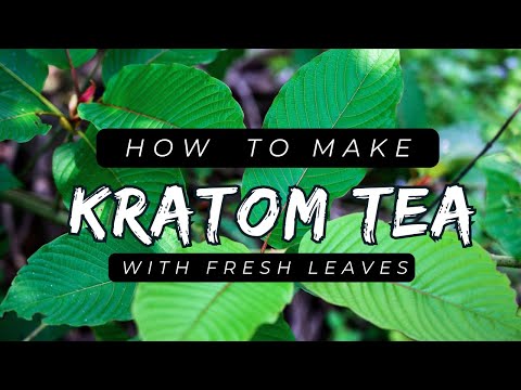 How to Make Kratom Tea | The Simple and Natural Way | With Fresh Leaves