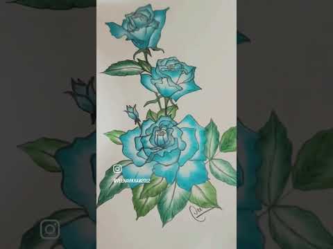 My art 🌹#artwork #pencilsketch #drawing #shortsvideo #shorts