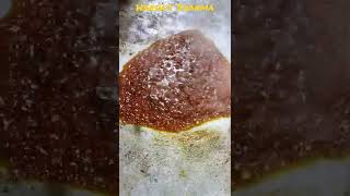 Mumbai Wali Jhackass Pav Bhaji in Rohini, Delhi. #pavbhaji #harshitsharma