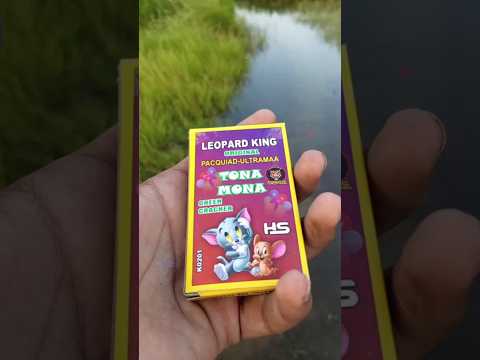 नये दिवाली पटाखे की टेस्टिंग 2025 | Diwali Cracker Testing 😁 | Crackers Testing 2025#shorts #diwali