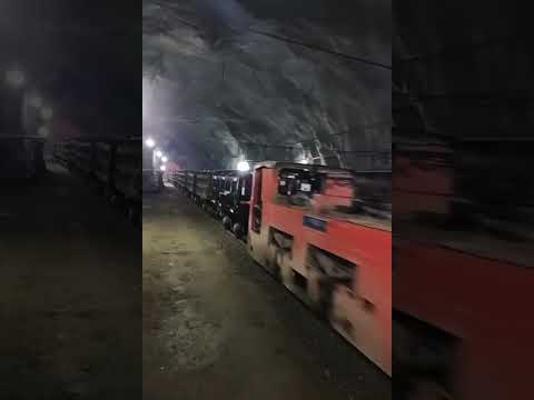 Rail transport vehicle#railtransport