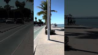 Strolling the Stunning Malecón of La Paz,Mexico🇲🇽✨#lapazbcs #mexico #malecon #lapaz