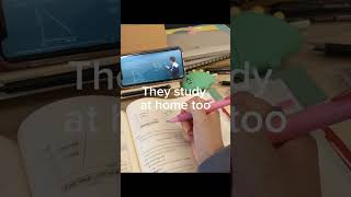 The secret behind Chinese students A+ grades 📚📈🎀#studymotivation #aesthetic #studyhard #Chinese