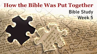 The Meaning and Overview of the Sacred Scriptures: Week 5