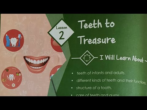 ICSE/SCIENCE/GRADE 4/CHAPTER 2/TEETH  TO TREASURE/PART 01
