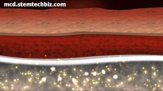 Stem Cell Science ( Adult Stem Cell)-Christian Drapeau, MSc
