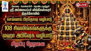 🔴LIVE: 108 சிவலிங்க மஹா அபிஷேகம் || செவ்வாய் பிரதோஷ வழிபாடு || ஸ்ரீ அம்மையப்பர் லிங்கேஸ்வரர் கோவில்