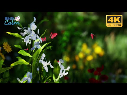 [4K] Creative Meditation for Kids | Inspiration Awaits | Badanamu Calm