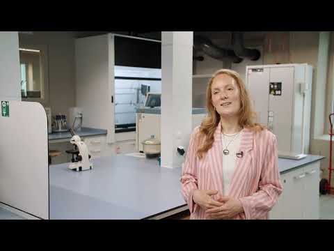 TechForFuture - Recan III - Detecting recycled fibers in textile garments