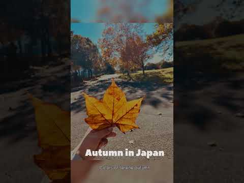 Autumn Beauty in Japan 🍁  |  #AutumnInJapan #JapanAutumn #FallColors #AutumnVibes #JapaneseFall