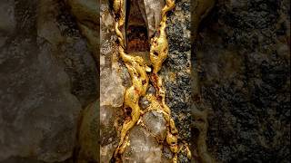 Wow Super Gold Quartz 😮💰#goldrush #Quartz #Goldlnvestment #Goldmining #treasure #fy