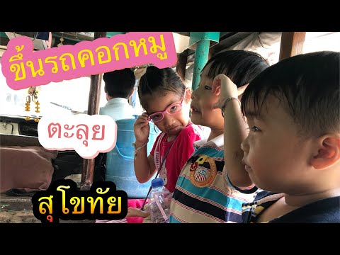 สงกรานต์ 2561 นั่งรถคอกหมู เที่ยวสุโขทัย | Duozaa TV