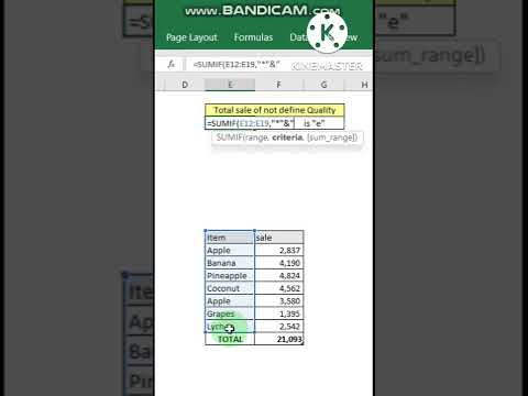 SUMIF advance function in Ms Excel(partially condition)SS-SIF3