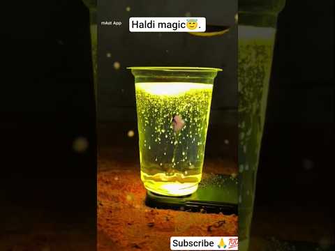 हल्दी वाला जादू 😇💯😇#shortvideo #trending #viralvideo #magic 😇💯🙏