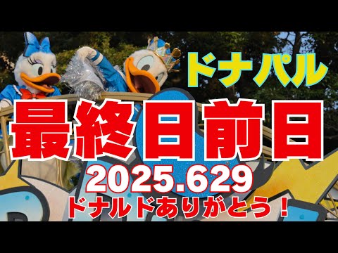 【最前列】2025.6.29クワッキーセレブレーション★ドナルド・ザ・レジェンド！最終日前日のドナパルをダンサーさんメインで！