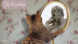 Self-Knowledge