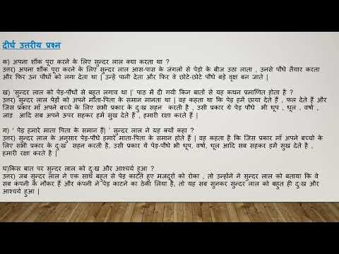 सुनहरी धूप,ch पेड़ को मत काटो,प्रश्न उत्तर, मौखिक लिखित selfwritten class6,7