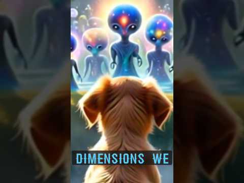 Dogs can See Interdimensional Beings?#alien #extraterrestrial #paranormal #supernatural