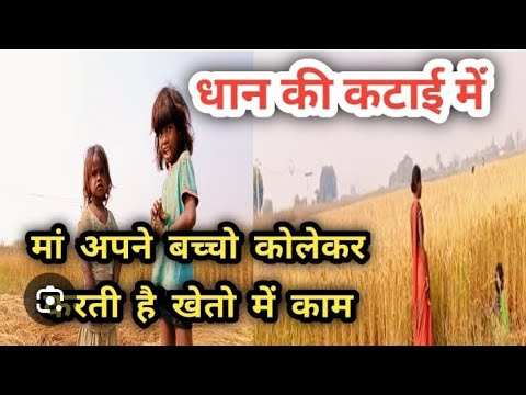 farmer ok up