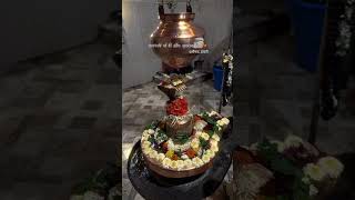 #NaagPanchami #ShivBhakti #NagaDevta #SpiritualVibes #ShivShakti #DevotionalPost #IndianTradition