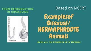 Bisexual Animals Examples in Reproduction in Organisms #shorts #neet  #ncert #neetshorts #neettricks