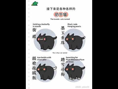 Beautiful Chinese traditional names for cats中国传统的猫名字有多美？中式震撼！看到交猫猫税的歪果仁问：“怎么给猫起名字？”于是准备给外国铲屎官一点中式震撼！