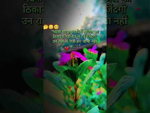 💞🥀🥀🥀लिखा है क्या नसीबों में 💞💞💞 #bollywood #pathaan #hindi #movie #pathan #film #trending #live 💞💞💞💞