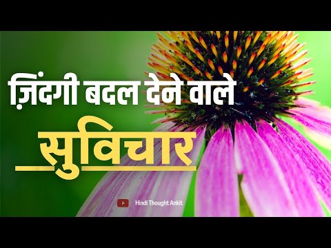 ज़िंदगी बदल देने वाले सुविचार || Suvichar Motivational || Aaj ka Suvichar Status || Hindi Thought