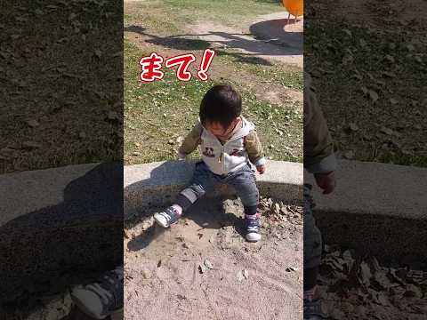 《1歳8ヶ月》公園　天気がいい日の初めての砂場#日常#成長#子供#1歳児 #shortvideo#癒し#癒し#あかちゃんのいる生活#ショート#育児#short#shorts#赤ちゃん#親子#成長記録