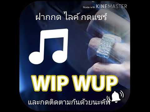 WIP WUP  mp3