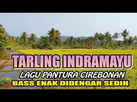 Tarling Cirebonan dan Indramayu bass enak didengar sedih santai