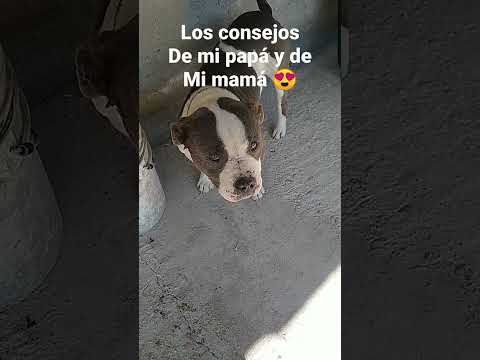 Te quiero mucho 🤭